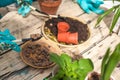 Children help to transplant plants into the ground, in pots. Gardening in the winter garden