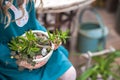 Children help to transplant plants into the ground, in pots. Gardening in the winter garden