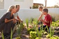 Children Helping Parents To Look After Vegetables On Allotment