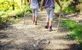 Children hiking in mountains or forest with sport hiking shoes. Royalty Free Stock Photo