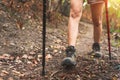 Children hiking in mountains or forest with sport hiking shoes. Girls or boys are walking trough forest path wearing mountain Royalty Free Stock Photo