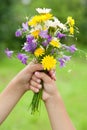 Children hold a bouquet of field flowers in their hands Royalty Free Stock Photo