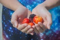 Children holding cherry in hand. Royalty Free Stock Photo