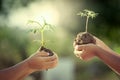 Children holding young plant in hands Royalty Free Stock Photo