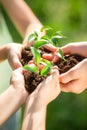 Children holding young plant in hands Royalty Free Stock Photo