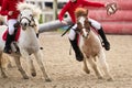 Children on horses playing horseball Royalty Free Stock Photo