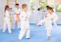Children in kimono practicing karate in sports gym. Martial arts training session Royalty Free Stock Photo
