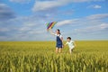 Children with a kite run across the wheat field in the summer. C Royalty Free Stock Photo