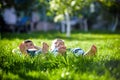 Children laying on grass. Family picnic in spring park Royalty Free Stock Photo