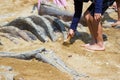 Children learning about, Excavating dinosaur fossils simulation Royalty Free Stock Photo
