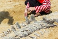 Children learning about, Excavating dinosaur fossils simulation Royalty Free Stock Photo