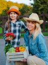 Children little girl holding mom a basket of fresh organic vegetables with the home garden. Royalty Free Stock Photo