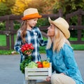 Children little girl holding mom a basket of fresh organic vegetables with the home garden. Royalty Free Stock Photo