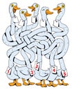 Children logic game to pass the maze. Funny geese with long, tangled necks