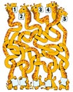 Children logic game to pass the maze. Funny giraffes with tangled necks