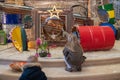 Children look at christmas creche with Joseph Mary and small Jesus in a crib Royalty Free Stock Photo