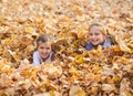 Children are lying and playing on fallen leaves in autumn city park. Royalty Free Stock Photo