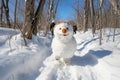 Children made a cheerful snowman with an orange nose out of snow