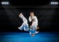 Children martial arts fighters Royalty Free Stock Photo