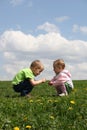 Children on meadow