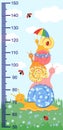 Children meter wall with a cute smiling cartoon snail and measuring ruler. Royalty Free Stock Photo