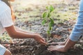 children and mom helping planting young tree. eco concept Royalty Free Stock Photo