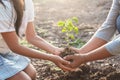 children and mom helping planting young tree. eco concept Royalty Free Stock Photo