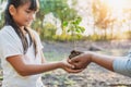 children and mom helping planting young tree. eco concept