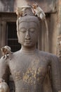 Children Monkey standing playing on ancient Buddha head statue, Candid animal wildlife picture waiting for food, group of mammal