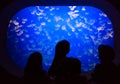 Children at Moon Jellyfish Tank