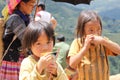 Children in Mu Cang Chai Rice Terrace Fields Royalty Free Stock Photo