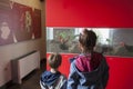Children observing display cabinet at Pimenton de la Vera Museum
