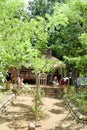 Children outside a jungle home garden