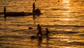 Children paddling on Tahoe Lake