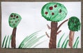 Children painted trees on white paper