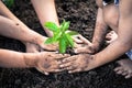 Children and parent hand planting young tree on black soil