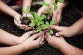 Children and parent hands planting young tree on black soil