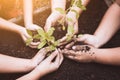 Children and parent hands planting young tree on black soil