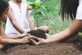 Children and parent hands planting young tree on black soil together Royalty Free Stock Photo