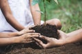 Children and parent hands planting young tree on black soil together Royalty Free Stock Photo