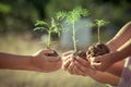 Children and parent holding young plant in hands Royalty Free Stock Photo