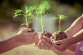 Children and parent holding young plant in hands Royalty Free Stock Photo