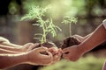 Children and parent holding young plant in hands Royalty Free Stock Photo