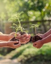 Children and parent holding young plant in hands Royalty Free Stock Photo