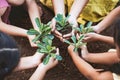 Children and parent holding young tree in hands for planting