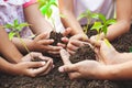 Children and parent holding young tree in hands for planting in black soil together Royalty Free Stock Photo
