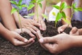 Children and parent holding young tree in hands for planting in black soil together Royalty Free Stock Photo