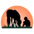 Children and pets silhouettes. Little boy with horse on the grass. Royalty Free Stock Photo