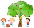 Children picking apples from tree