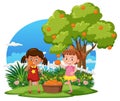 Children picking orange outdoor scene isolated